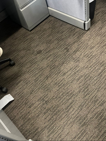 Nick's Carpet Service City of New York Nick's Carpet Service City of New York, carpet cleaning in Brooklyn
